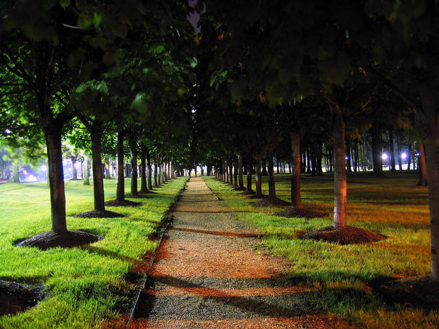 ../pictures/park_by_night.jpg