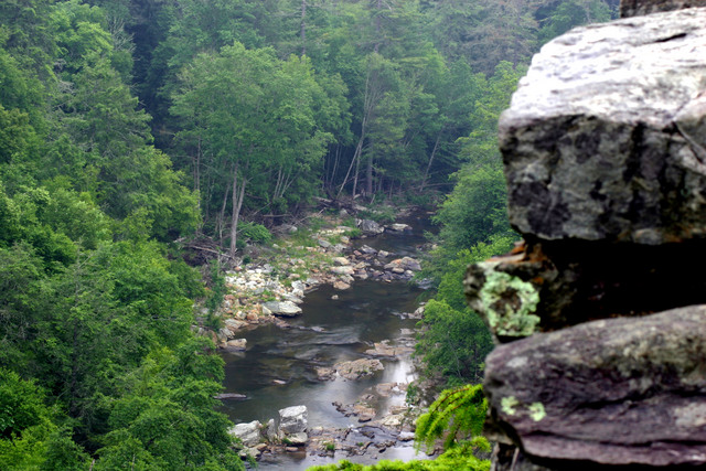../pictures/Linville_river.jpg