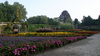 Biltmore_gardens14.jpg