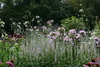 Farrington_Inn_garden20.jpg