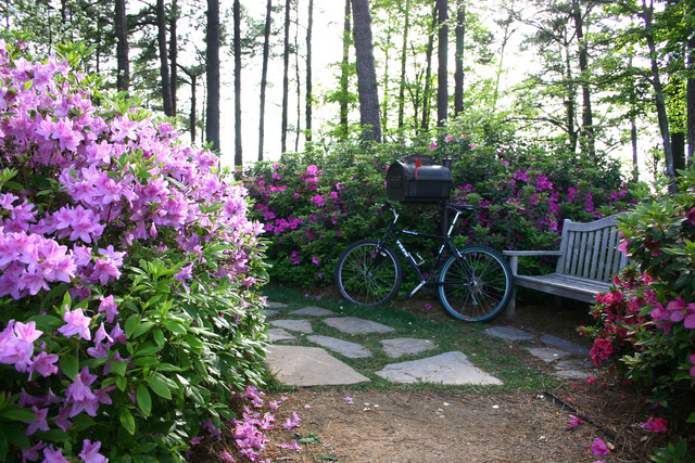 ../pictures/azalea_garden2.jpg