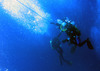 divers_on_line.jpg