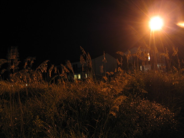 ../pictures/grass_field_at_night.jpg