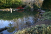 Birmingham_bothanical_garden17.jpg