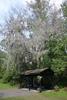 Magnolia_plantation1.jpg