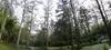 Magnolia_plantation_panorama.jpg
