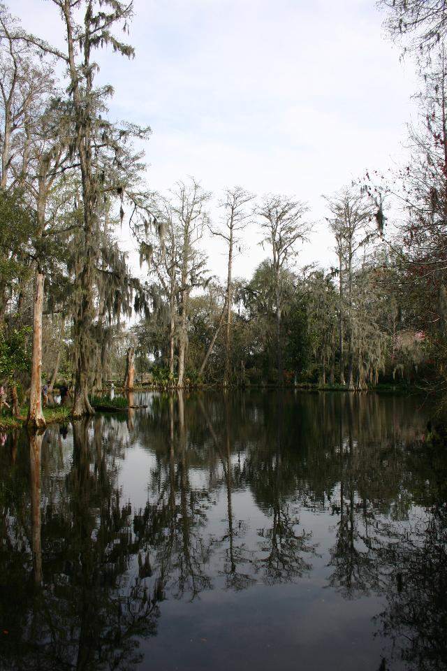 ../pictures/Magnolia_plantation48.jpg