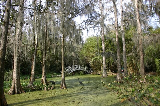 ../pictures/Magnolia_plantation52.jpg