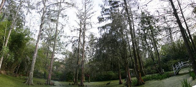 ../pictures/Magnolia_plantation_panorama.jpg