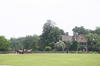 Middleton_Place7.jpg