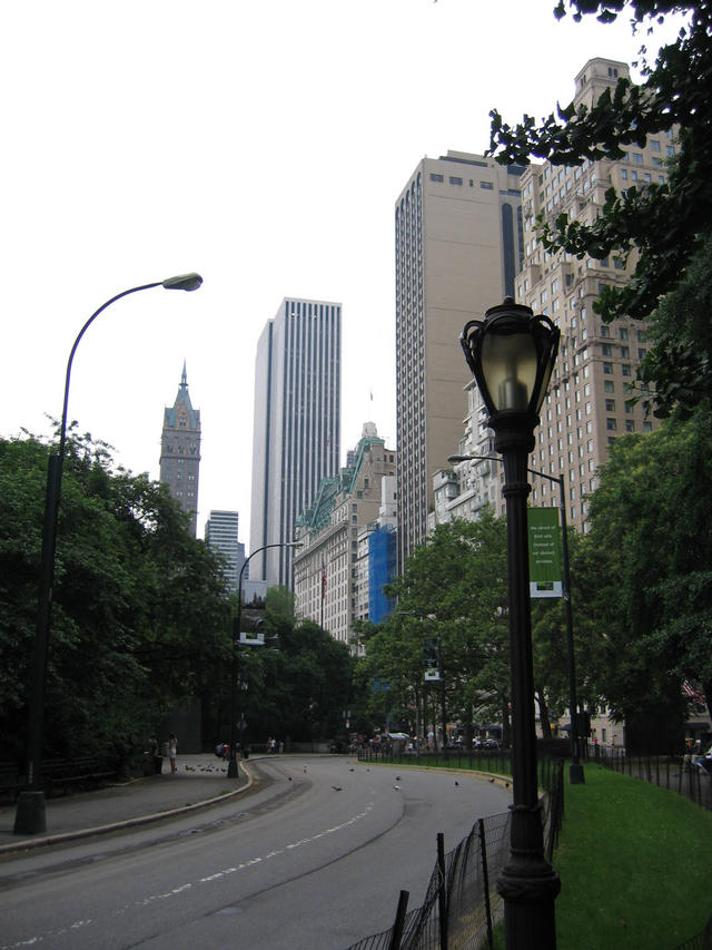 ../pictures/view_from_Central_park.jpg
