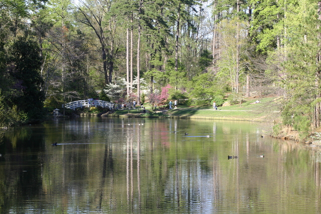 ../pictures/Duke_gardens22.jpg