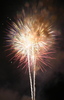 fireworks31.jpg