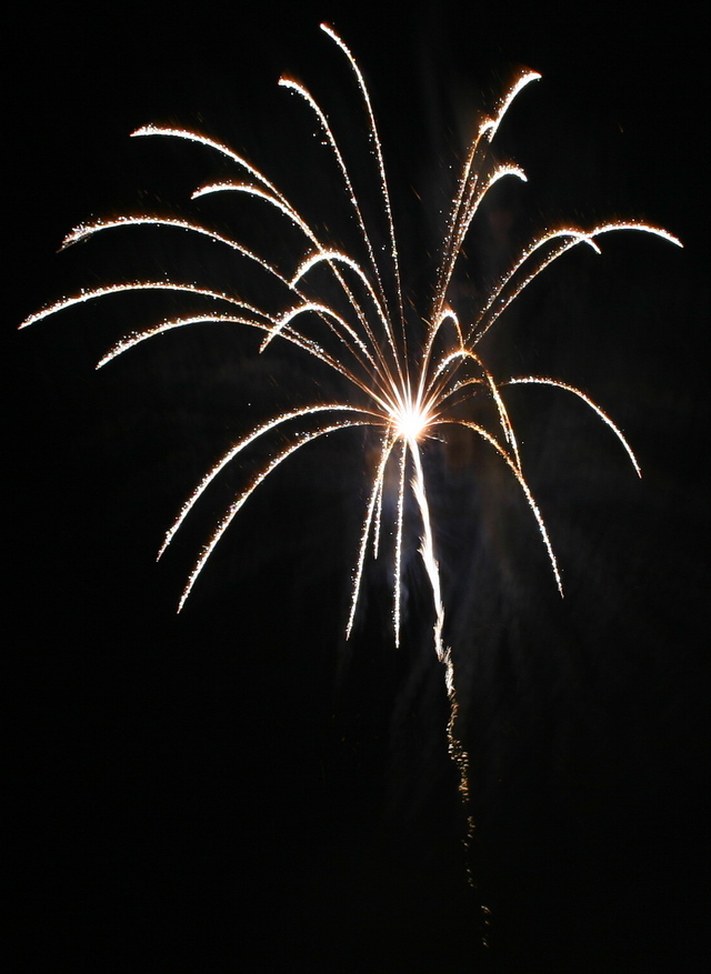 ../pictures/fireworks17.jpg