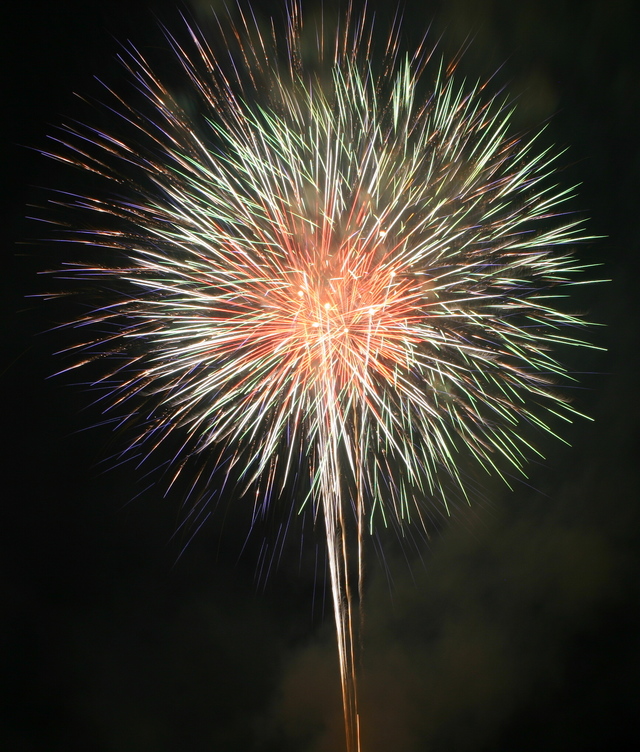 ../pictures/fireworks39.jpg