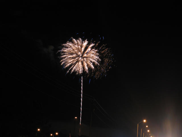 ../pictures/fireworks14.jpg
