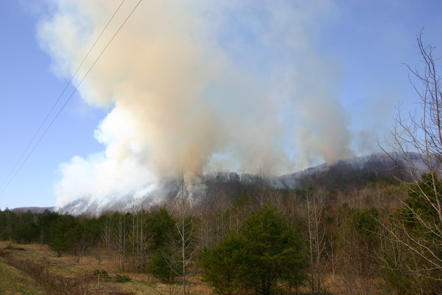 ../pictures/forest_fire_in_Tennesee.jpg