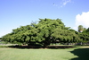 Moanalua_gardens1.jpg