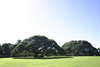 Moanalua_gardens4.jpg