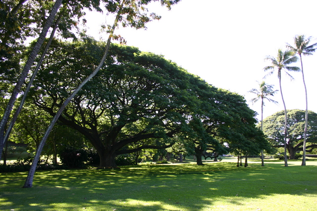 ../pictures/Moanalua_gardens6.jpg