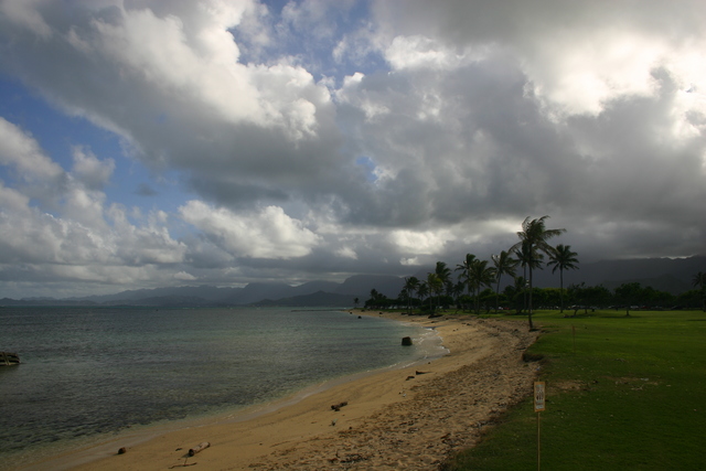 ../pictures/toxic_dump_beach.jpg