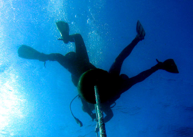 ../pictures/divers_silhouette.jpg