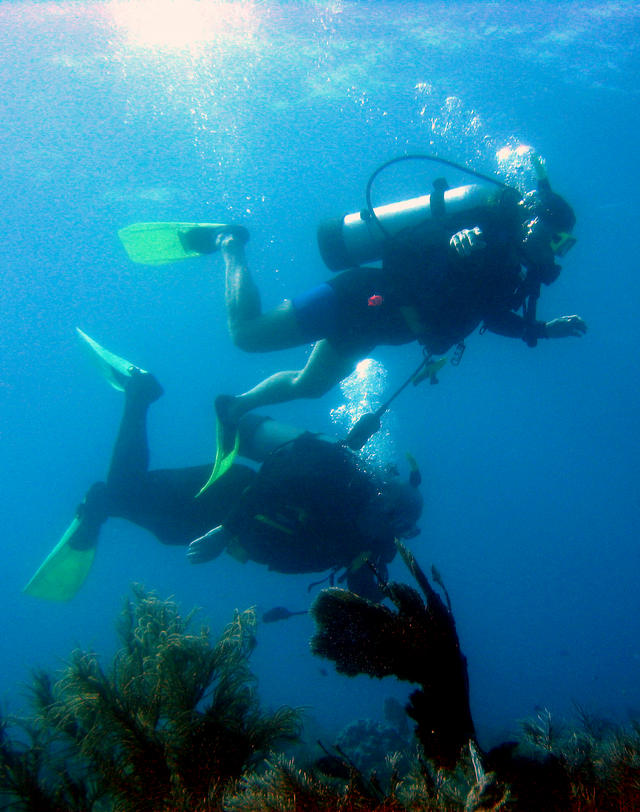 ../pictures/our_dive_buddies.jpg