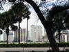 downtown_Miami.jpg