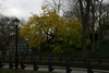 Central_Park30.jpg