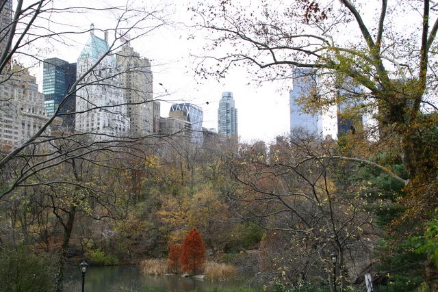 ../pictures/Central_Park6.jpg