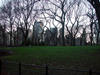 Central_Park3.jpg