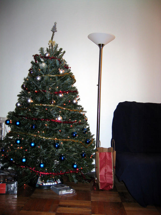 ../pictures/Christmas_tree.jpg