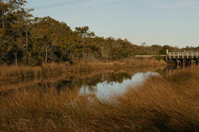 ../pictures/Ocracoke_nature_trail2.jpg