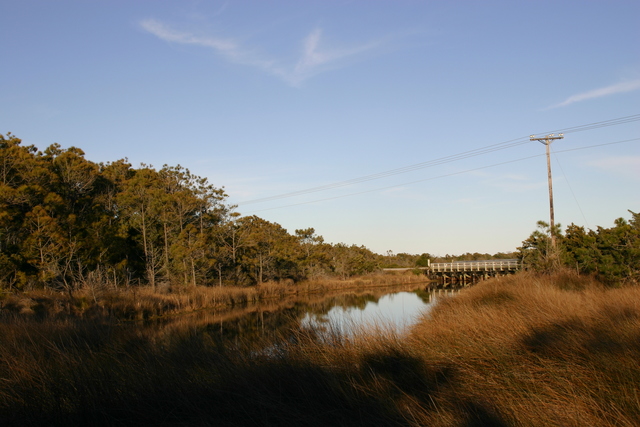 ../pictures/Ocracoke_nature_trail6.jpg