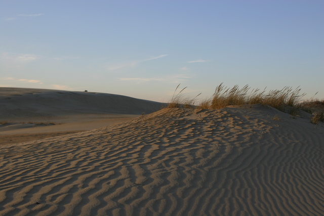 ../pictures/Kitty_Hawk_dune_at_sunset7.jpg