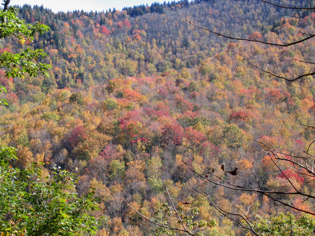 ../pictures/unpaved_road_views5.jpg