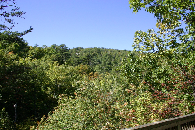 ../pictures/Hanging_Rock_park2.jpg