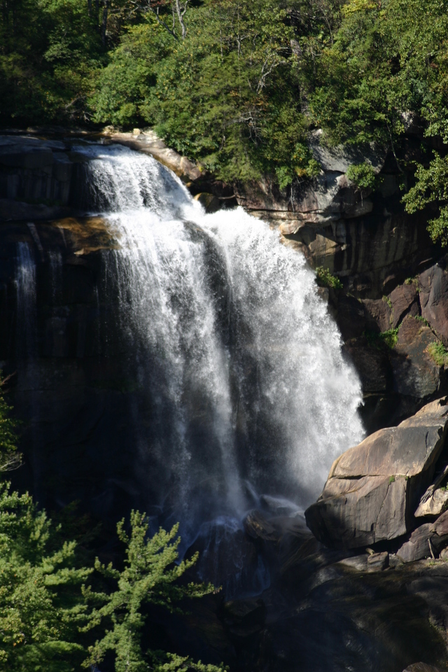 ../pictures/Whitewater_Falls1.jpg