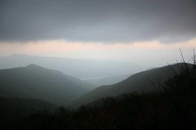 ../pictures/fog_at_Craggy_Gardens1.jpg