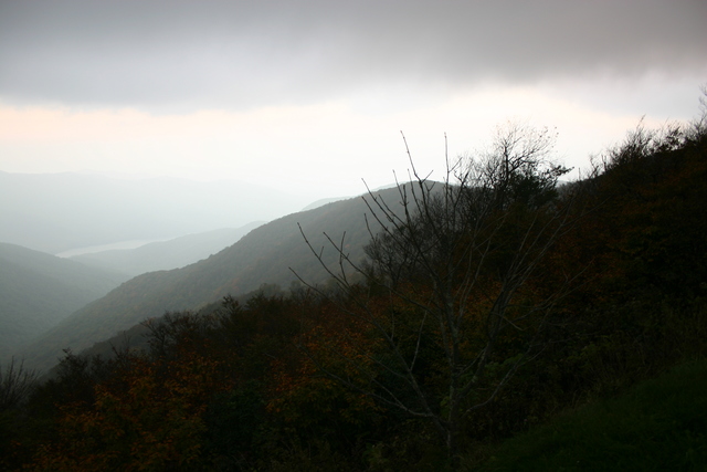 ../pictures/fog_at_Craggy_Gardens2.jpg