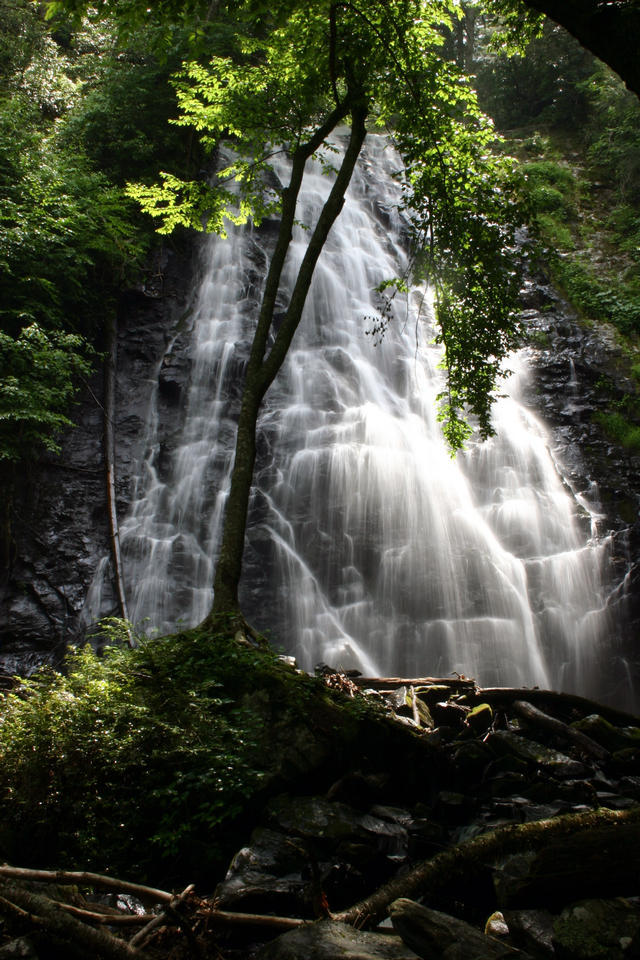 ../pictures/crabtree_falls3.jpg