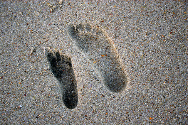 ../pictures/footprints.jpg
