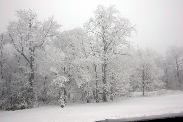 ../pictures/winter_scenes12.jpg