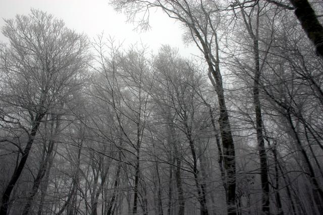 ../pictures/winter_scenes20.jpg