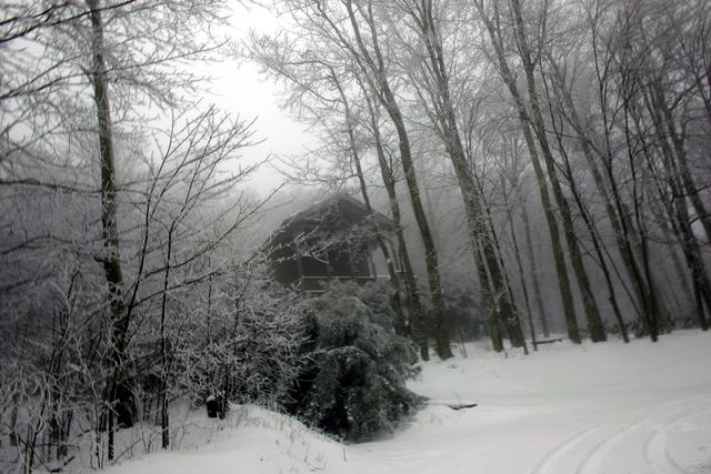 ../pictures/winter_scenes22.jpg