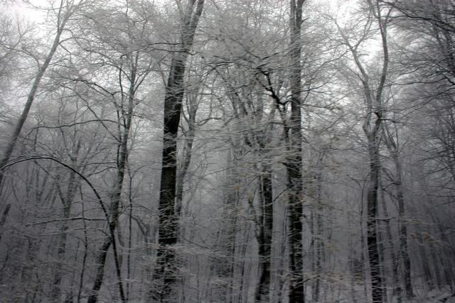 ../pictures/winter_scenes23.jpg