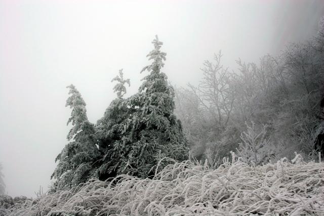 ../pictures/winter_scenes8.jpg