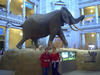 Laura_Magda_and_the_elephant.jpg