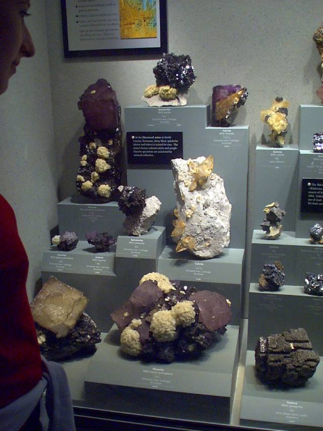 ../pictures/Rocks_in_NS_museum.jpg