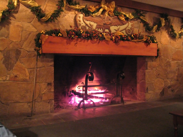 ../pictures/fireplace.jpg